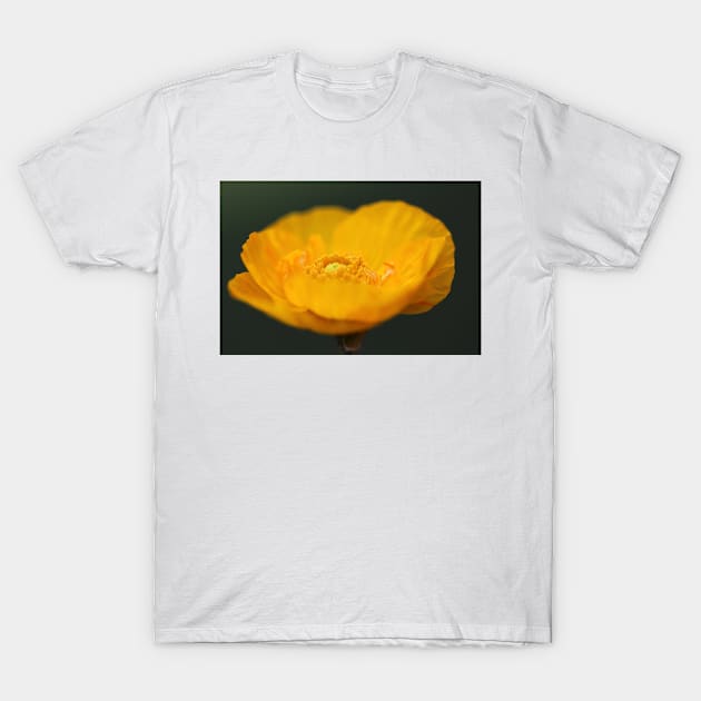 Yellow Poppy T-Shirt by ikshvaku